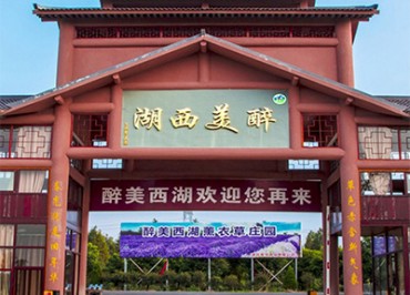 醉美西湖