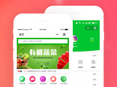 成都道通蔬菜商城