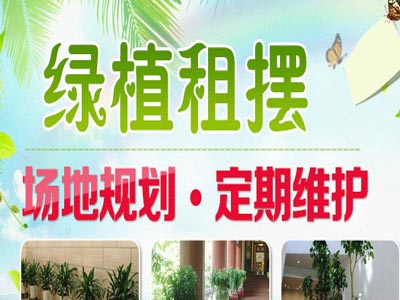 广州绿植园林绿化工程有限公司