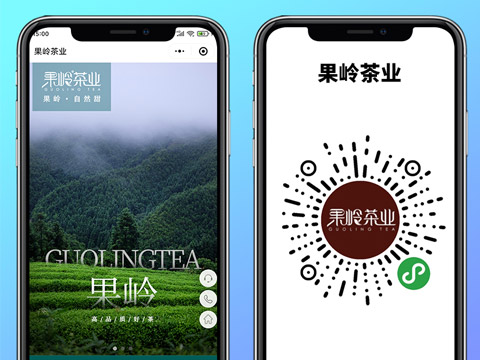 果岭茶叶