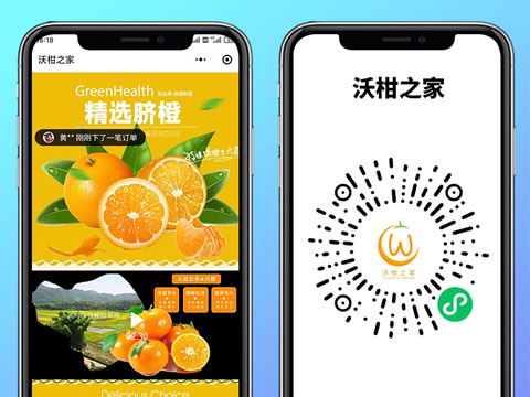 沃柑之家