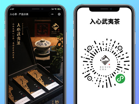 入心武夷茶