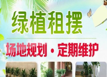 广州绿植园林绿化工程有限公司