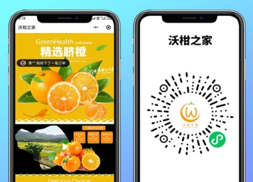 沃柑之家