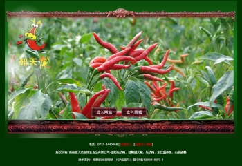 湖南朝天龙椒辣业食品有限公司