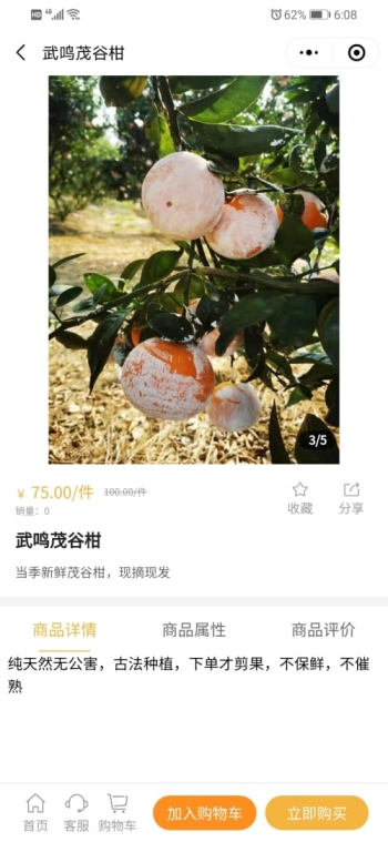 沃柑之家