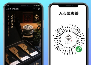 入心武夷茶