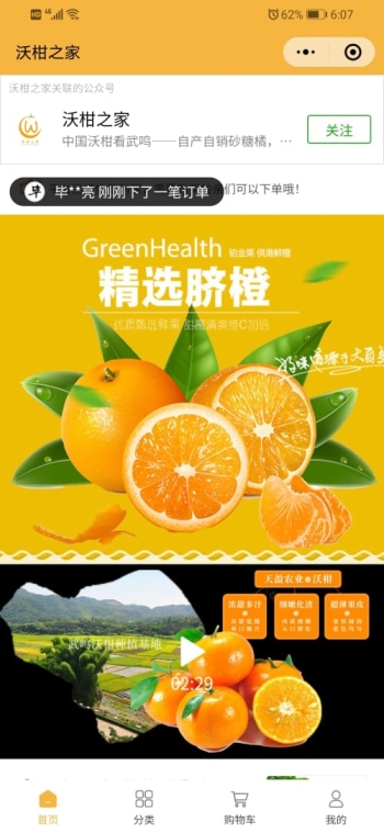 沃柑之家